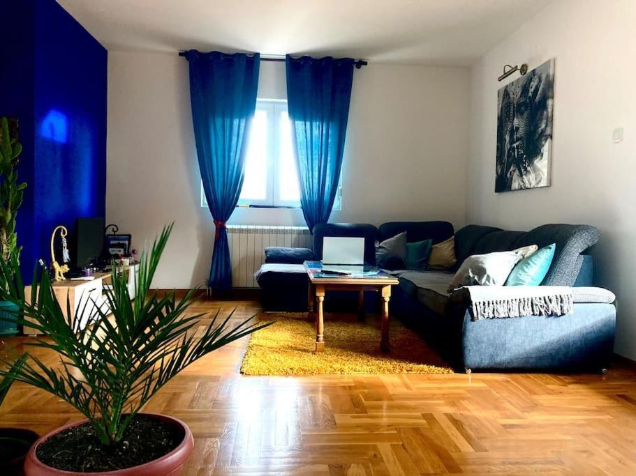 Amazing Memories Apartment Belgrade Exterior photo